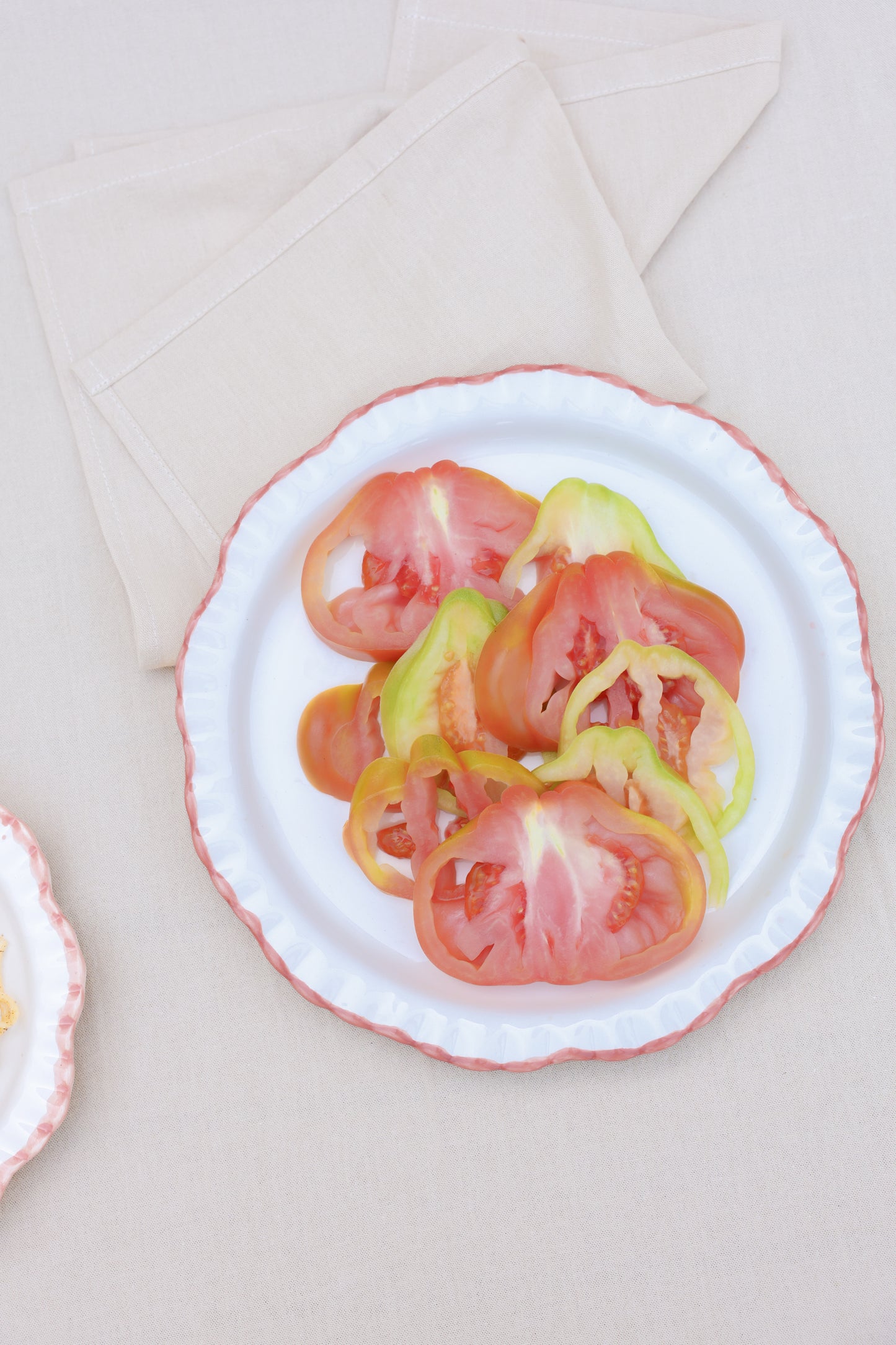 Dinner Plate Blush Charlie (Set of 2)